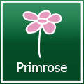 Primrose Gutscheine 50 Rabatt 9 Angebote September 2020 Allecodes